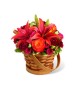 The Abundant Harvest Basket